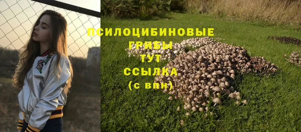 спайс Протвино