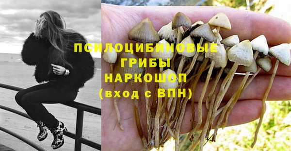 MDMA Приозерск