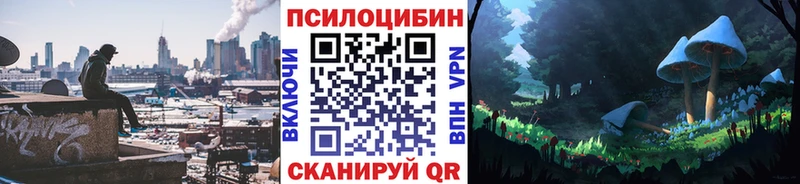 Купить  Дедовск  Псилоцибиновые грибы MAGIC MUSHROOMS 