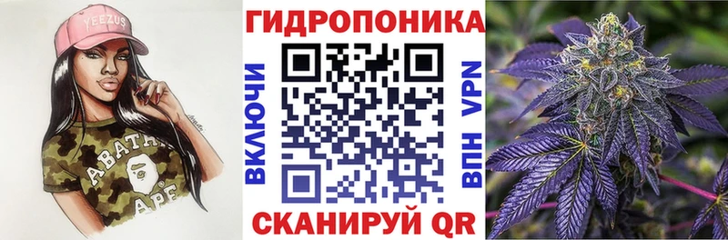 Купить где  Дедовск  Марихуана план 